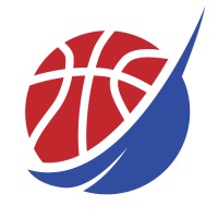 CourtVision International logo - Similar company to Superalts Marketplace