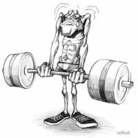 Mens Fitness | Fitdads