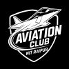 Aviation Club NIT Raipur logo - Similar company to Finance And Consulting Club | Nit Raipur