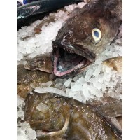 Vinderen Sjømat & Delikatesse AS logo - Similar company to Qualified People