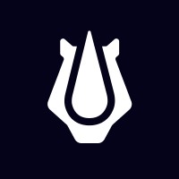 Bravepay