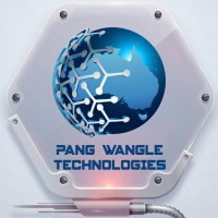 PANG WANGLE TECHNOLOGIES logo - Similar company to Ai Infotech