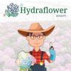 HYDRAFLOWER