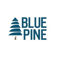 Blue Pine Ventures Limited logo - Similar company to Synergic Marine Group Co., Ltd.