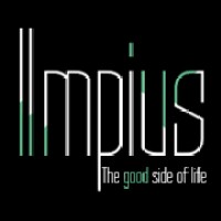 IMPIUS - The good side of life logo - Similar company to Wecreateyou - Services Engineering And Management