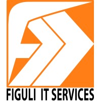 Ch. Figuli IT-Services e.U. logo - Similar company to Fse Brandschutz Gmbh