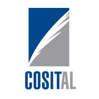 COSITAL Consejo General logo - Similar company to Asociación Profesional De Secretarios, Interventores Y Tesoreros De Administración Local (Apsital)
