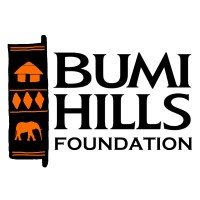 Bumi Hills Foundation logo - Similar company to Esg Network Zimbabwe