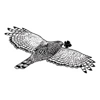 Vinícola Alto do Gavião