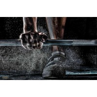 Coach Sportif Paris logo - Similar company to Palestra