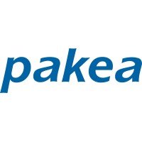 PAKEA Africa logo - Similar company to Damo Solutions