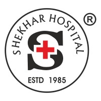 Shekhar Hospital logo - Similar company to Criticare