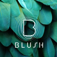 Blush Beach Club Hoi An logo - Similar company to Glowie App Inc.