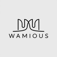 Wamious Solutions logo - Similar company to Elevate^