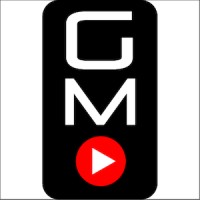 GMV Marketing In China logo - Similar company to Pixology Studio Ltd