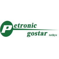 Petronic Gostar logo - Similar company to Petronic Ltd