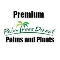 PALM TREES DIRECT, INC. logo - Similar company to Sphere Landscape Design & Horticultural Services