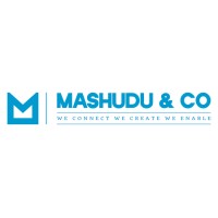 Mashudu & Co (Pty) Ltd logo - Similar company to Systemiclogic
