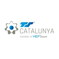 TÉCNICAS SUPERFICIES CATALUNYA (HEF Group) logo - Similar company to Amie Consulting