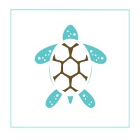 Turtle Softwash logo - Similar company to Spelonk-It
