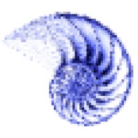 Blueshell Limited logo - Similar company to Blueshell Technologies