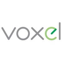 Voxel S.A. logo - Similar company to Dicella