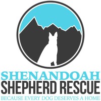 Shenandoah Shepherd Rescue logo - Similar company to Listen Vision