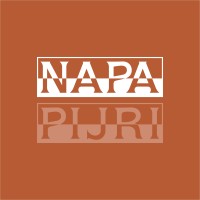 Napapijri logo - Similar company to Karšta.Lt