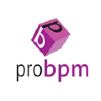 ProBPM logo - Similar company to Smd Technosol
