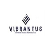 VIBRANTUS INMOBILIARIA logo - Similar company to Blindspot - Business & Human Rights