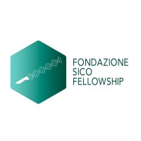 FONDAZIONE SICO PER LA FORMAZIONE IN CHIRURGIA ONCOLOGICA ETS logo - Similar company to Italian Sarcoma Group