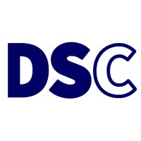 Ds Consulting Llc