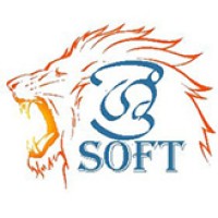 Sri Soft (srisoft.lk) logo - Similar company to Silver Code Solutions