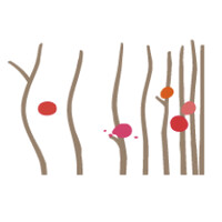 DSPACIO LODGES investment opportunity logo - Similar company to Securilix