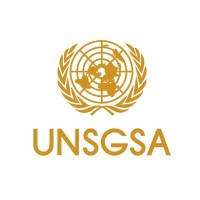 United Nations Secretary-General's Special Advocate for Financial Health logo - Similar company to United Nations Association Of The Usa, San Francisco Chapter