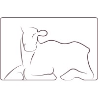 The Cultural Heritage At Risk Database (Stichting CHARD) logo - Similar company to Digied