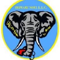 BriMarc Noel LLC logo - Similar company to Royal Green Distribution Sro