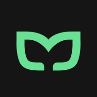 Mintfull Agency 🍃 logo - Similar company to Exastam