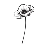 The Poppyfield Agency