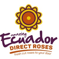 Ecuador Direct Roses
