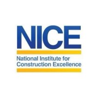 National Institute for Construction Excellence logo - Similar company to Genesis Environmental Group Llc