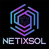 NetixSol logo - Similar company to Technupur
