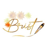 Brist Centro de Estética logo - Similar company to Centro De Estetica Juventa