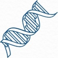 Animal Pain Research Institute logo - Similar company to Sentient Futures (Formerly Ai For Animals)