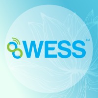 WESS logo - Similar company to Data Den
