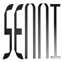 SEAAI logo - Similar company to Virtualeap