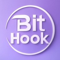 Bit Hook logo - Similar company to Security Hook