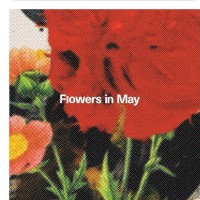 Flowers in May logo - Similar company to Nn Studio