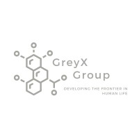 GreyX Group logo - Similar company to Digitalgae Technologies