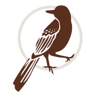 Brown Thrasher Strategies